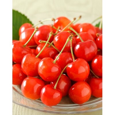 贅沢10品 果物王国 山形 さがえ産フルーツ10回定期便 至福のフルーツセット 糖度保証付き入b06 お礼品詳細 ふるさと納税なら さとふる