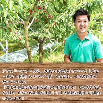 2022年産 さくらんぼ 「 紅秀峰 」 600g 特秀品 2Lサイズ 山形県産 025-A06