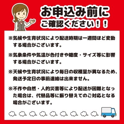 2022年産 さくらんぼ 「 紅秀峰 」 600g 特秀品 2Lサイズ 山形県産 025-A06
