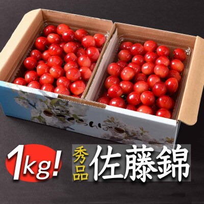 山形のさくらんぼ「佐藤錦」1kg(500g×2)秀品 Lサイズ以上 2022年産 015-A02