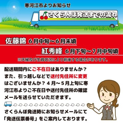 山形のさくらんぼ「佐藤錦」1kg(500g×2)秀品 Lサイズ以上 2022年産 015-A02