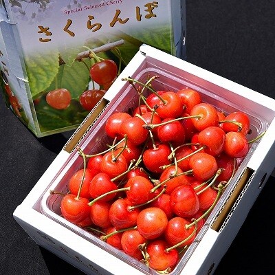 農家直送 さくらんぼ 佐藤錦 500g 秀品 本場山形から生産者直送 010 1 のレビュー 口コミ一覧 ふるさと納税サイト さとふる