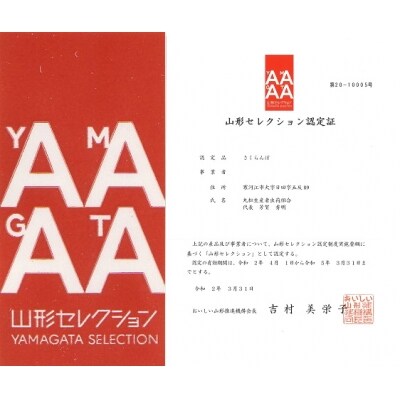 【フルーツ定期便】旬果が全4回 さがえ産フルーツ定期便 ~結~ 生産者応援 045-B01
