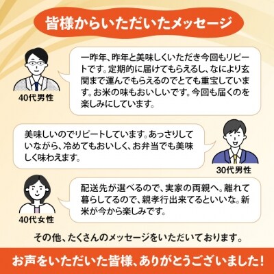 【2022年10月中旬開始コース】はえぬき定期便 計60kg(20kg×3回)048-C01-10中