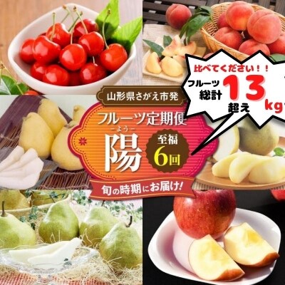 【フルーツ定期便】至福の6回 フルーツ 定期便〜陽〜 065-B01