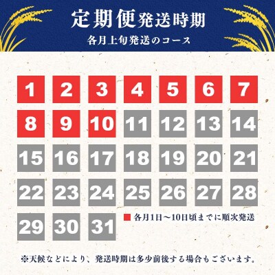【2022年11月上旬~】10kg×6回計60kg 令和4年産 新米定期便はえぬき 048-C02