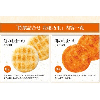 もち吉の特撰詰合せ「豊穣乃里」9種類_合計42袋