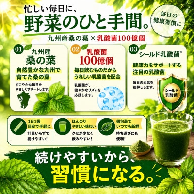 九州産桑の葉&乳酸菌入り　桑の葉青汁31袋