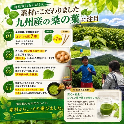 九州産桑の葉&乳酸菌入り　桑の葉青汁31袋