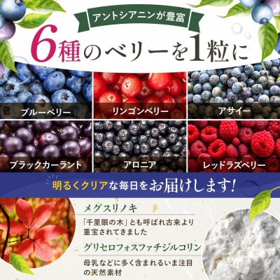《機能性表示食品》認知機能も維持できる ルテイン&6種のベリー 1袋