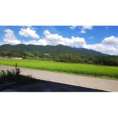 【2022年2月下旬発送】令和3年産　福岡県　直方産　元気つくし　白米5kg