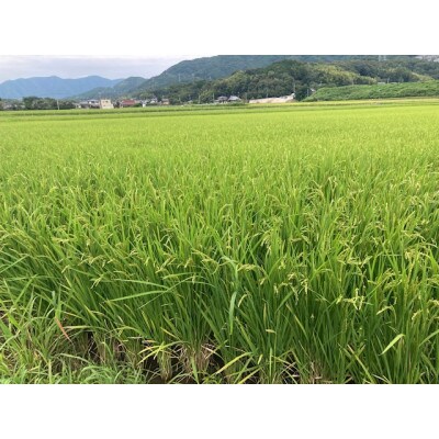 令和4年産 福岡県直方産元気つくし 白米5kg+1kg