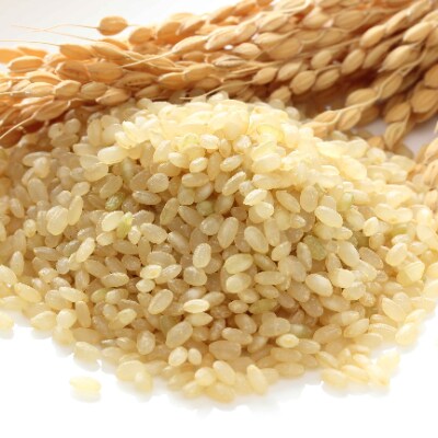 福岡のブランド米・夢つくし(玄米)5kg
