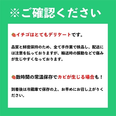 【2026年発送先行受付】福岡産春あまおう4パック(直方市)