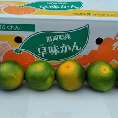 福岡限定!オリジナルブランドみかん「早味かん」約2kg(直方市)