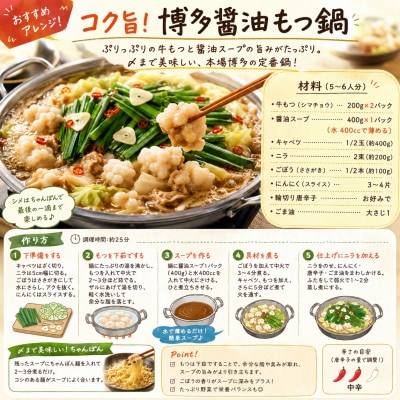 訳あり!博多醤油もつ鍋　20人前セット　合計4.8kg(直方市)