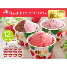 博多あまおう こだわりアイス【AH-ABF】(直方市)