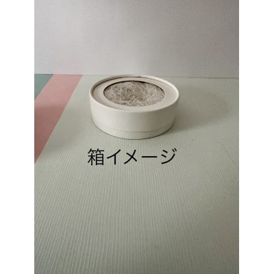 漆喰の花「ラコッタ」シャクヤク　白色W