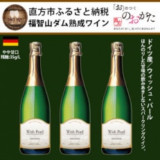 福智山ダム熟成スパークリングワイン3本セット FD325