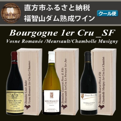 福智山ダム熟成 1er-Cru 最高級赤白ワインSF3本セット　FD512