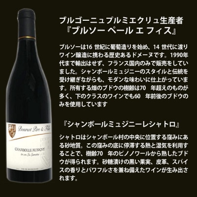 福智山ダム熟成 1er-Cru 最高級赤白ワインSF3本セット　FD512