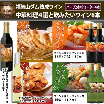 福智山ダム熟成 中華料理4選と飲みたいワイン6本詰め合わせセット FD340