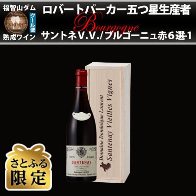【さとふる限定】福智山ダム熟成 五つ星生産者ブルゴーニュ赤6選-01 FD561【2019】