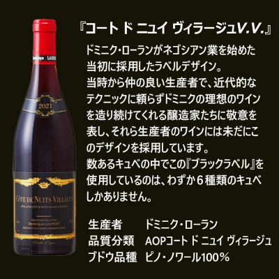【さとふる限定】福智山ダム熟成 五つ星生産者ブルゴーニュ赤6選-02 FD562【2021】