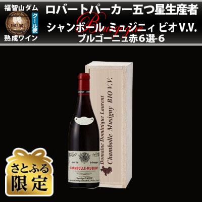 【さとふる限定】福智山ダム熟成 五つ星生産者ブルゴーニュ赤6選-06 FD566【2021】