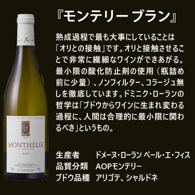 【さとふる限定】福智山ダム熟成 五つ星生産者ブルゴーニュ白4選-02 FD569【2020】