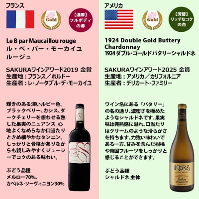 福智山ダム熟成 濃厚赤&芳醇白 SAKURA金賞6本詰め合わせセット FD649