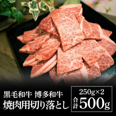 福岡県産黒毛和牛 博多和牛焼肉用切り落とし 500g(直方市)