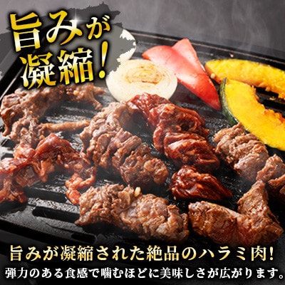 【訳あり】たれ漬け牛ハラミ肉 900g