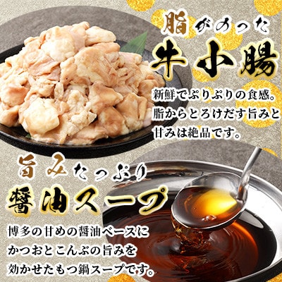 【福岡名物】牛もつ鍋セット16人前(2人前×8セット) 醤油味