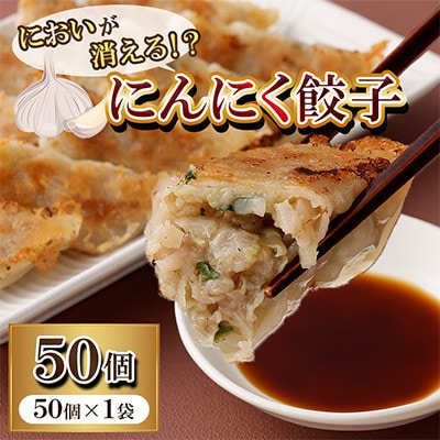 においが消える!?にんにく餃子 50個×1袋