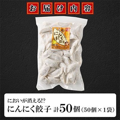 においが消える!?にんにく餃子 50個×1袋