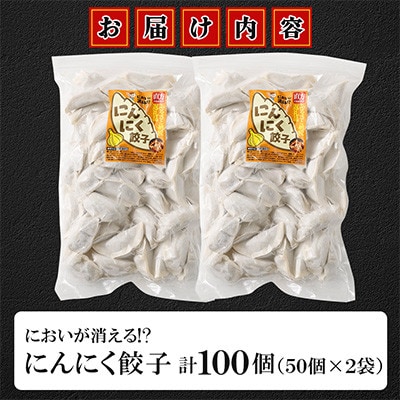 においが消える!?にんにく餃子 50個×2袋