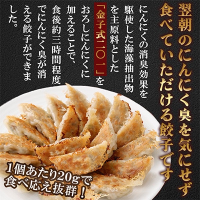 においが消える!?にんにく餃子 50個×2袋