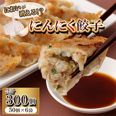 においが消える!?にんにく餃子 50個×6袋