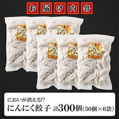 においが消える!?にんにく餃子 50個×6袋