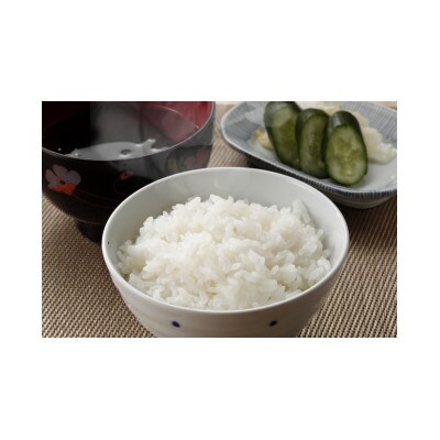 合計72パック!「金のめし丸」福岡県産米 めし丸元気つくしパックご飯(3P×8袋×3箱)(直方市)