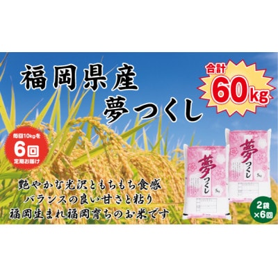 【発送月固定定期便】【食味鑑定士厳選】福岡県産 夢つくし10kg(5kg×2袋)(直方市)全6回