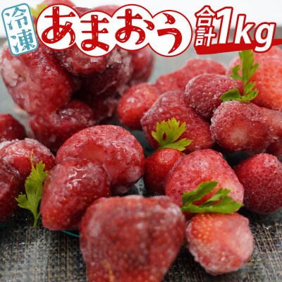 あかい・まるい・おおきい・うまい「博多あまおう」の冷凍あまおう　合計1kg(直方市)