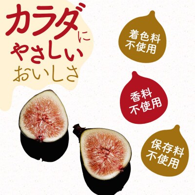 福岡県産の無花果、とよみつひめのアイスキャンディー　10本(直方市)