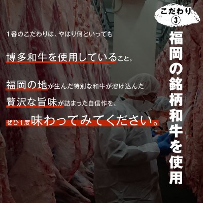 100%博多和牛のキーマカレー (180g×3パック)(直方市)