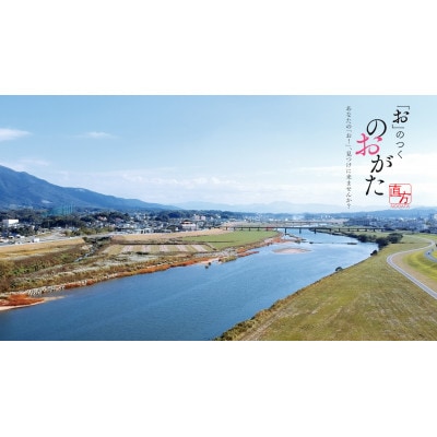 【返礼品なし】福岡県直方市 市長におまかせまちづくり応援寄附(1,000円)