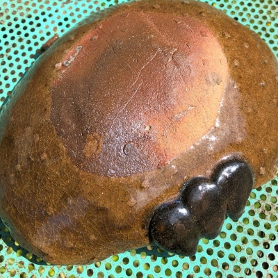 高取焼粘土(原土)