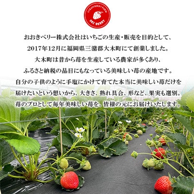 【2026年1月下旬～順次発送予定】福岡県産あまおう合計約1,080g 約270g×4パック(直方市