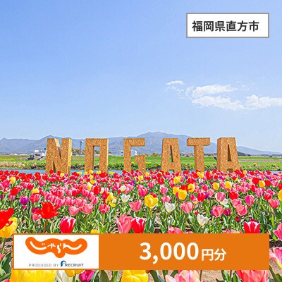 【じゃらんふるさと納税クーポン】 福岡県直方市でつかえる3,000円 クーポン