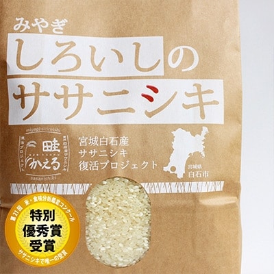 【令和元年産】白石産ササニシキ精米12kg[4206-053]
